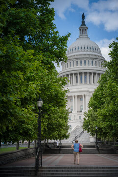 View of a person walking up stairs towards the United States Capitol Building framed by lush green trees under a bright sky, Washington D.C., District of Columbia, USA.
