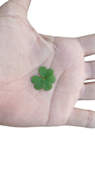 st patrick day, Fingers Gently Holding Vibrant Green Three-Leaf Clover Symbolizing Luck, Nature, and St. Patrick's Day on transparent Background