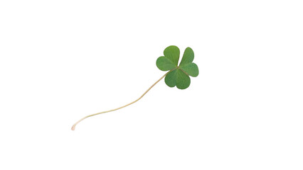 Vibrant Green Three-Leaf Clover Symbolizing Luck, Nature, and St. Patrick's Day on transparent Background