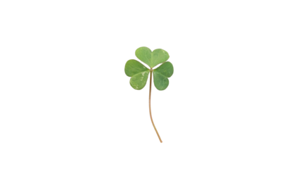 Vibrant Green Three-Leaf Clover Symbolizing Luck, Nature, and St. Patrick's Day on transparent Background