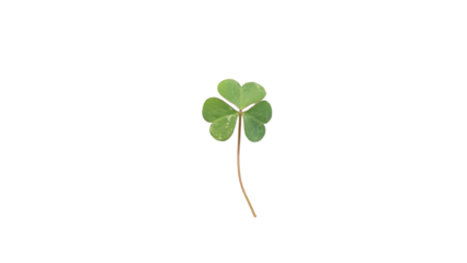 St. Patricks leaf, Vibrant Green Three-Leaf Clover Symbolizing Luck, Nature, and St. Patrick's Day on transparent Background