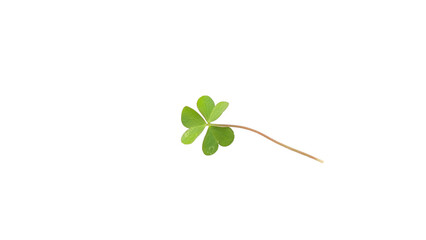 Vibrant Green Three-Leaf Clover Symbolizing Luck, Nature, and St. Patrick's Day on transparent Background