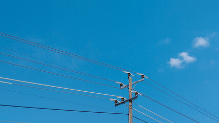 Fototapeta premium Electric utility pole with power lines crossing a clear blue sky. Urban electricity infrastructure, energy distribution cables, minimal outdoor scene, technology and connection concept