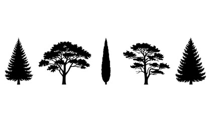 Evergreen Conifer Tree Silhouettes Collection © Ihor Yurchenko