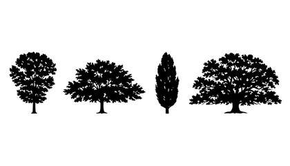 Deciduous Trees Silhouettes Architecture Set © Ihor Yurchenko