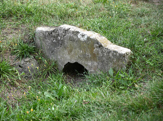 Weathered Concrete Block in Grassy Field