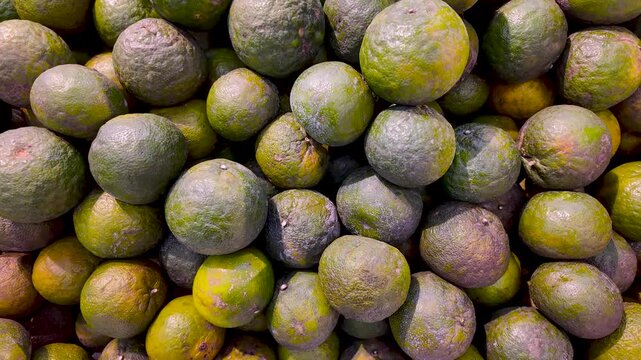 Fresh green-skinned oranges, a popular fruit in Vietnam, displayed for sale.