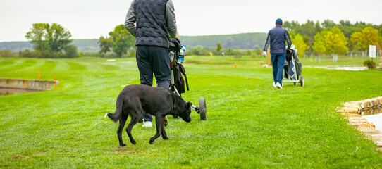 People are playing golf, walking over grass field during golfing game, course. They carry bag with equipment or pull cart, trolley.