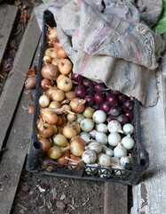 Assorted Onions in Crate with Rustic Fabric