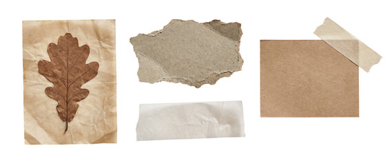 Scrapbook paper design elements with torn paper scraps and collage pieces on a transparent background