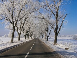 Winter of 2006 in the vicinity of Sleza in Lower Silesia, Poland.