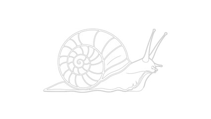 Detailed Outline Drawing of a Snail in Motion. © Joko santoso