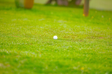 People, golfers enjoying on the golf course, playing together
