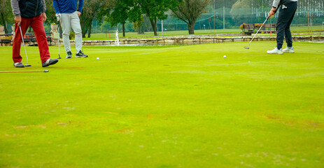 People, golfers enjoying on the golf course