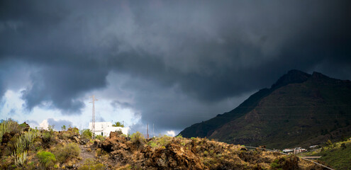 A cacti bushes agains the backdrop of an impending thunderstorm in the mountains.