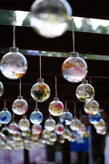 宮崎県小林市の霧島岑神社のハーバリウム