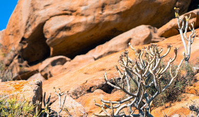 A rock, desert sandy formations, a natural arch Arco de las Penitas in the daylight.