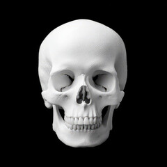 Fototapeta premium White human skull on a dark background.