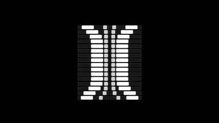 Abstract Black and White Geometric Pattern Animation with Sound Wave Visualizer Effect.