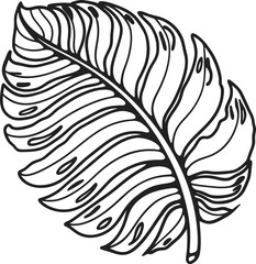 Obraz premium Monstera leaf line art illustration tropical botanical contour drawing, decorative jungle foliage outline for coloring and design