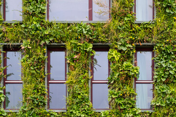 Modern urban building facade with vegetation, sustainable architecture exterior design integrating green elements into city structure