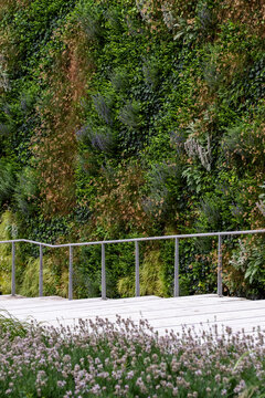 Urban landscaping with plants and vegetation on architecture, sustainable city exterior design integrating nature into built environment