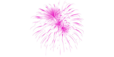 Obraz premium Vibrant Pink Fireworks Exploding Dazzling Magenta Bursts in Dark Night Sky Festive Celebration Joyful Event Spectacle