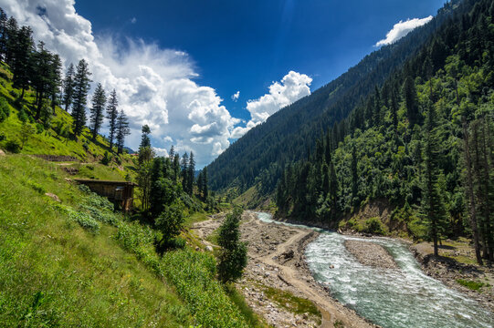 View of a vibrant river flowing through a valley, bordered by lush green hills and towering pine trees under a bright blue sky, Noori Top, Khyber Pakhtunkhwa, Pakistan.