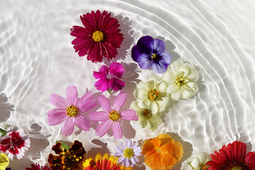 Beautiful flowers floating on clear water, sparkling in the sunlight.