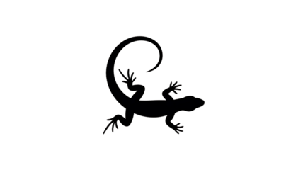 A minimalist white outline of a curled lizard against a stark black background creates a striking visual composition