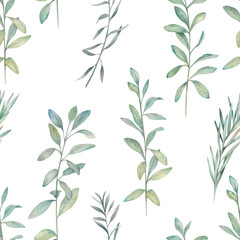Watercolor seamless pattern with eucalyptus branches . Hand drawn illustration on white background