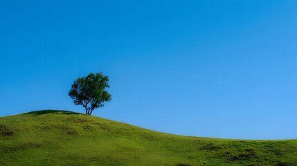 A solitary tree stands atop a lush green hill under a clear blue sky, a serene landscape.