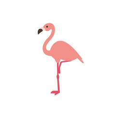 flamingo pink cute pretty animal bird tropical summer emoji symbol sign icon vector illustration isolated flat