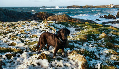 Sunrise at Rhoscolyn with rough seas Anglesey North wales