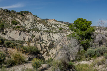 Naklejka premium Rambla de las Grutas is a natural ravine situated in the Baños y Mendigo region of Murcia