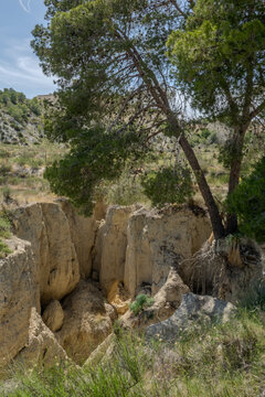 Rambla de las Grutas is a natural ravine situated in the Ba&ntilde;os y Mendigo region of Murcia
