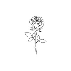 Single rose illustration isolated on transparent background