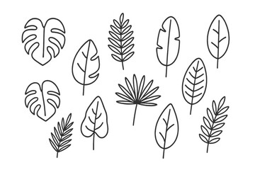 Fototapeta premium Monstera and tropical leaf outline pattern on dark background