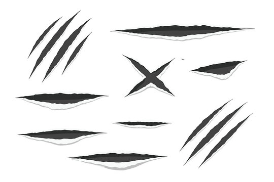Torn Paper with Claw Marks