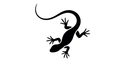 A minimalist white line drawing depicts a lizard with a curled tail against a stark black background