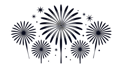 Explosive celebration in the night sky