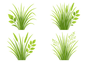 Green grass and leaves emblem set on a lime background © Andrei