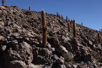 La Quebrada de Cardones near San Pedro De Atacama, Chile