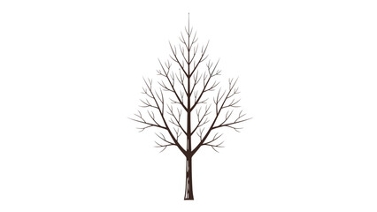 Bare tree silhouette against a white background