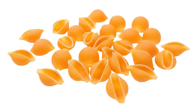 Conchiglie pasta shells isolated PNG on transparent background, Italian cuisine ingredient for cooking and food preparation