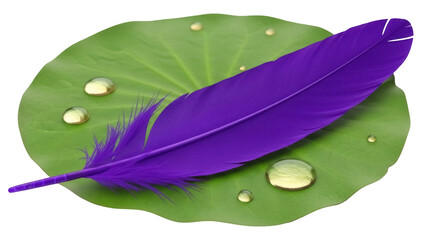Vibrant purple feather on green leaf with water droplets isolated PNG, nature-inspired design...
