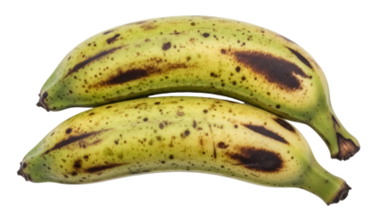 Two ripe plantains PNG isolated on transparent background, tropical fruit with yellow and brown spots for cooking and healthy eating