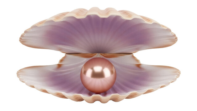 Pink pearl in an oyster shell isolated PNG on transparent background, luxury gem for jewelry design and decoration