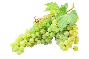 Obraz premium Bunch of green grapes isolated