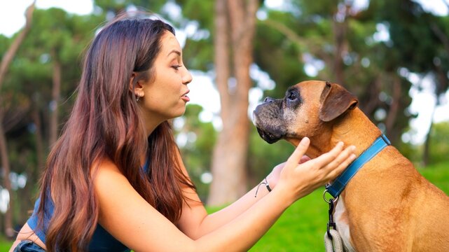 Woman talking to her Boxer dog in park